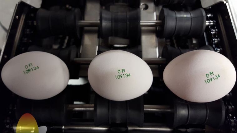 Nuovo Egg Printing and Egg Stamping Systems - Устройство нанесения штампа SOR на приемном стале яйцесортировальной машины