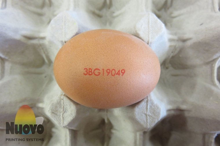 Nuovo Egg Printing and Egg Stamping Systems - Easy Stamp Stempelaar SOR op Sorteermachine Invoertafel