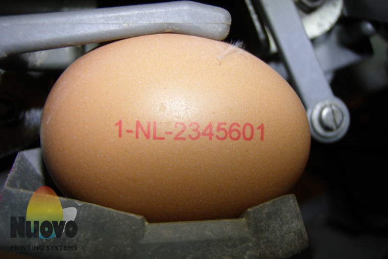 Nuovo Egg Printing and Egg Stamping Systems - 供旋转式农场包装机Mopack安装的R1型鸡蛋喷码系统