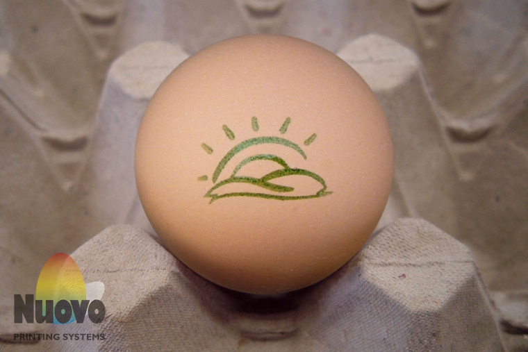 Nuovo Egg Printing and Egg Stamping Systems - Устройство нанесения штампа R6 на упаковочной линии яйцесортировальной машины