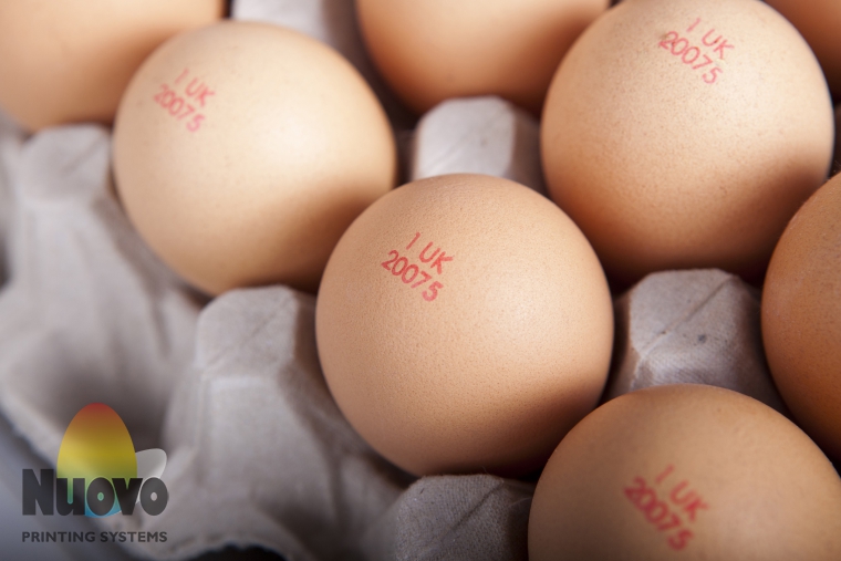 Nuovo Egg Printing and Egg Stamping Systems - Устройство нанесения штампа R6 на Фармпакере