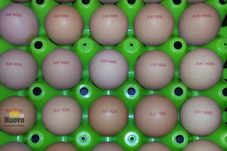 Nuovo Egg Printing and Egg Stamping Systems - Imprimante jet d'encre Egg Jet R6 sur Mopack 150