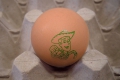 Nuovo Egg Printing and Egg Stamping Systems - Устройство нанесения штампа R6 на упаковочной линии яйцесортировальной машины