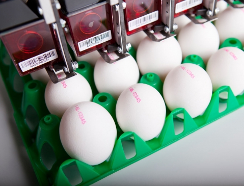 Nuovo Egg Printing and Egg Stamping Systems - BAN5 Shoot 3