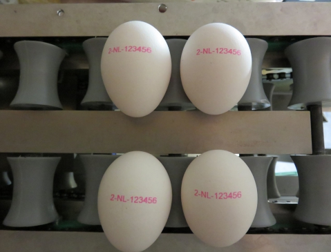 Nuovo Egg Printing and Egg Stamping Systems