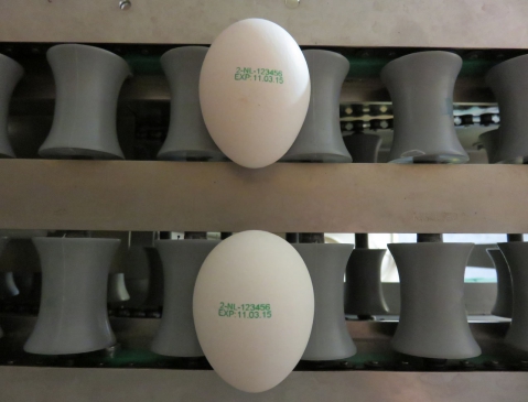 Nuovo Egg Printing and Egg Stamping Systems
